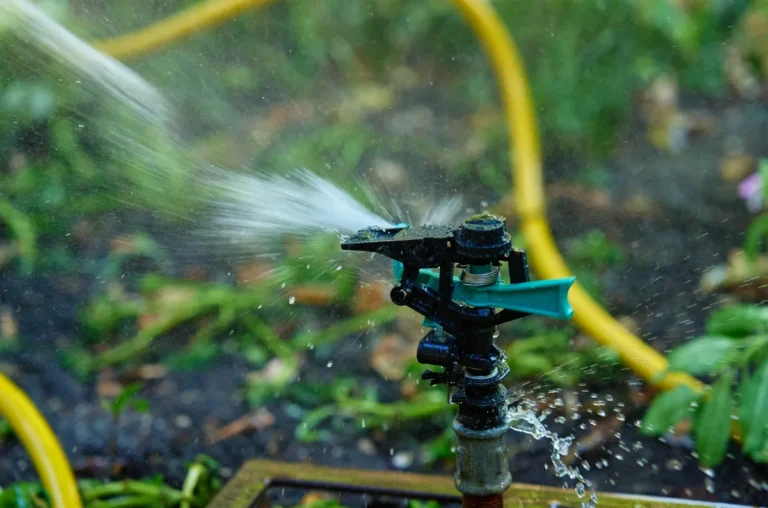 Arrosage du jardin avec un asperseur