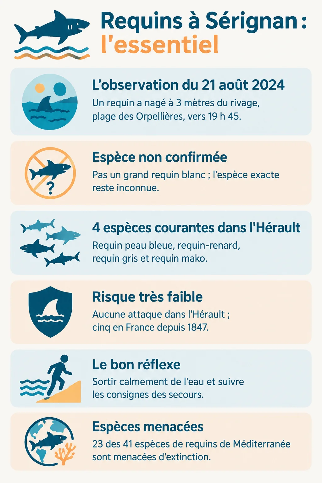 Requins à Sérignan : l'essentiel : L'observation du 21 août 2024, Espèce non confirmée, 4 espèces courantes dans l'Hérault, Risque très faible, Le bon réflexe, Espèces menacées
